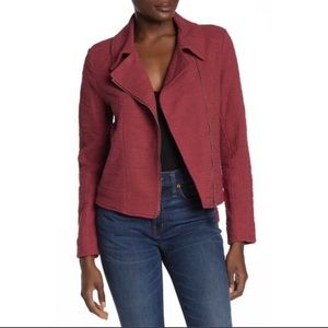 Max Studio Textured Knit Moto Jacket